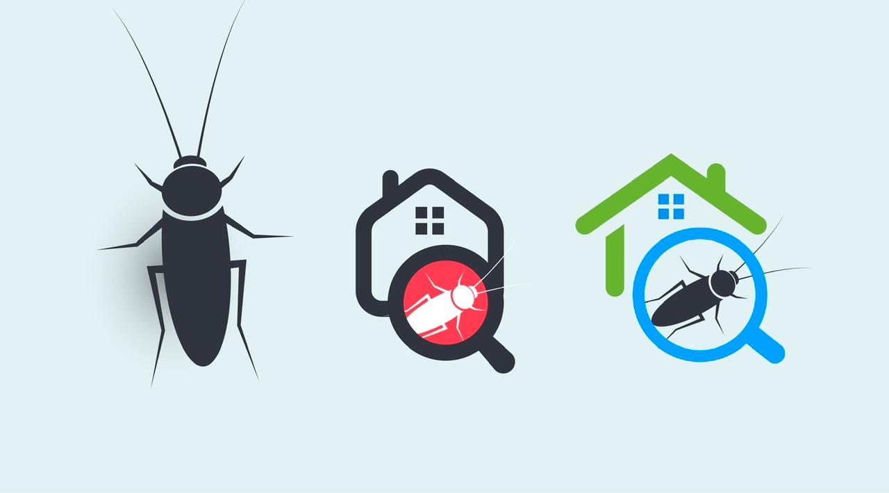 Keep Cockroaches Out of Your Home With these tips!